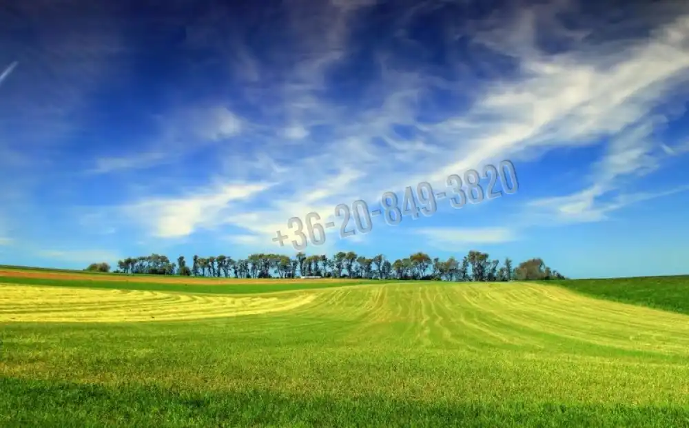 ELADÓ Ipari ingatlanok - Vác - Vác